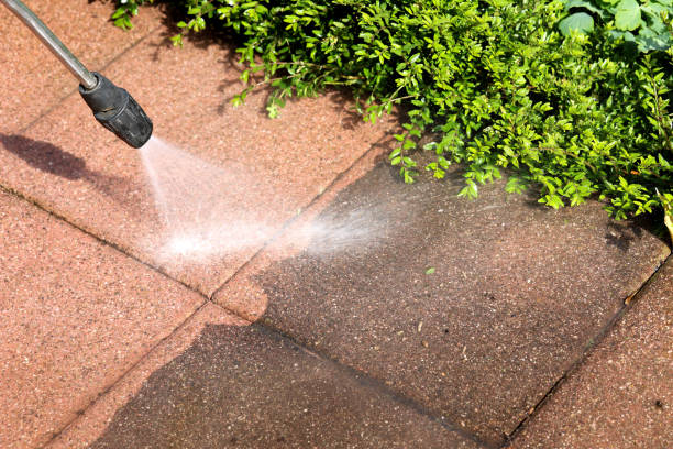 Best Pressure Washing Driveway  in Chesterland, OH